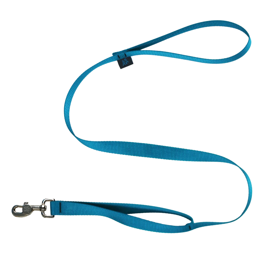 Nahak laisse à double poignées 4'