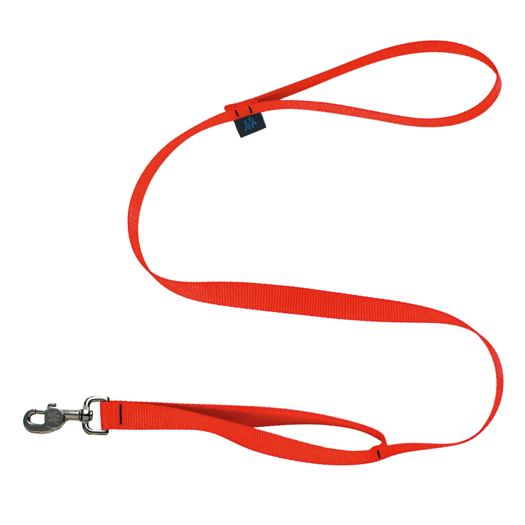 Nahak laisse à double poignées 4'