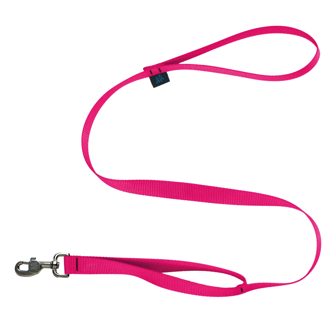 Nahak laisse à double poignées 4'