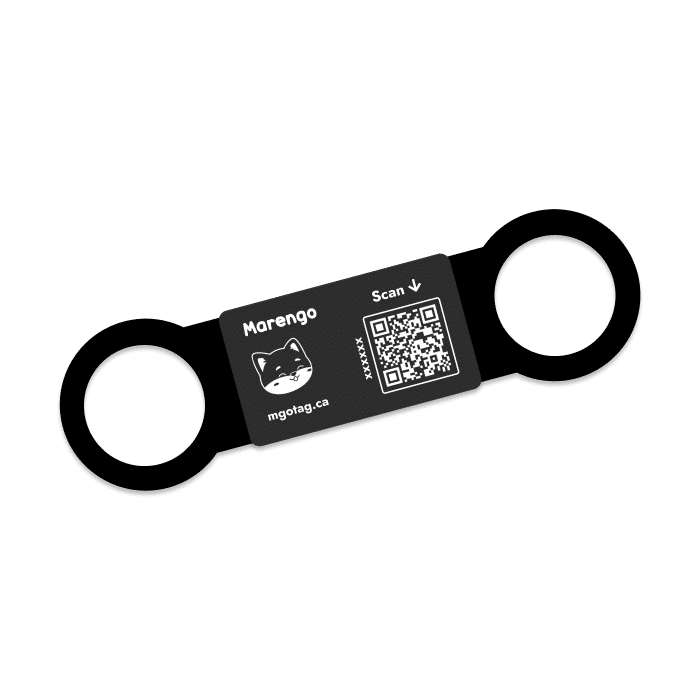 Marengo médaille intelligente Slide