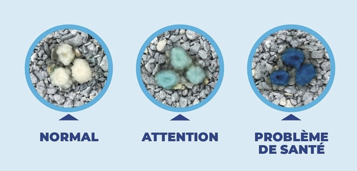 Intersand granules pour litière Indicateur de santé urinaire MaxCare 8g