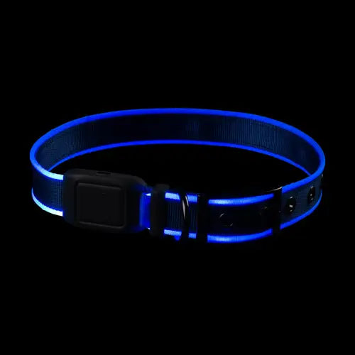 Nite Ize collier lumineux rechargeable pour chiens NiteDog