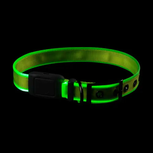 Nite Ize collier lumineux rechargeable pour chiens NiteDog