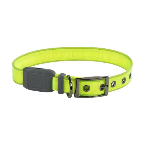 Nite Ize collier lumineux rechargeable pour chiens NiteDog