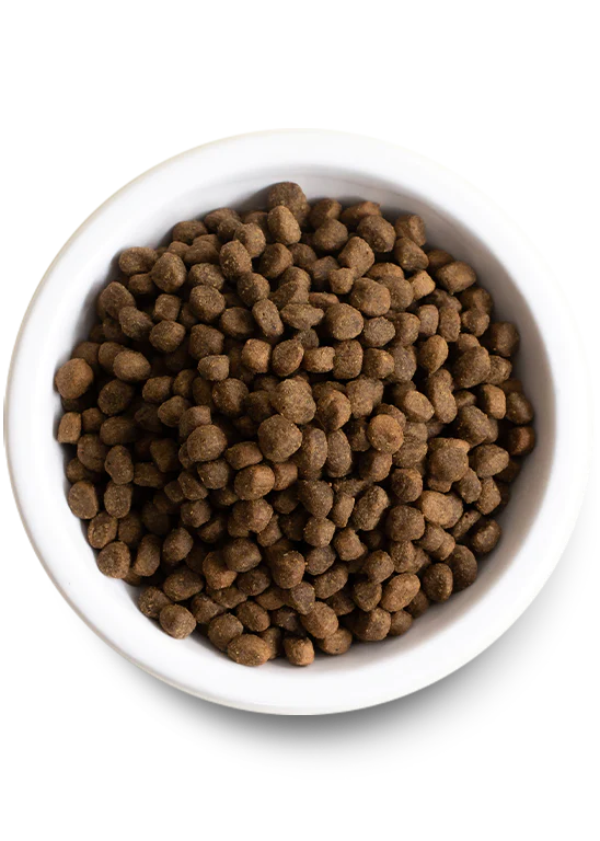 Open Farm nourriture sèche pour chiens Boeuf sans grains             ** Nourriture sèche disponible seulement en boutique physique**