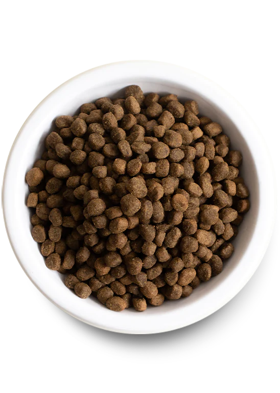 Open Farm nourriture sèche pour chiens Saumon et grains anciens 9.98 kg                  ** NOURRITURE SÈCHE NON VENDUE EN LIGNE **