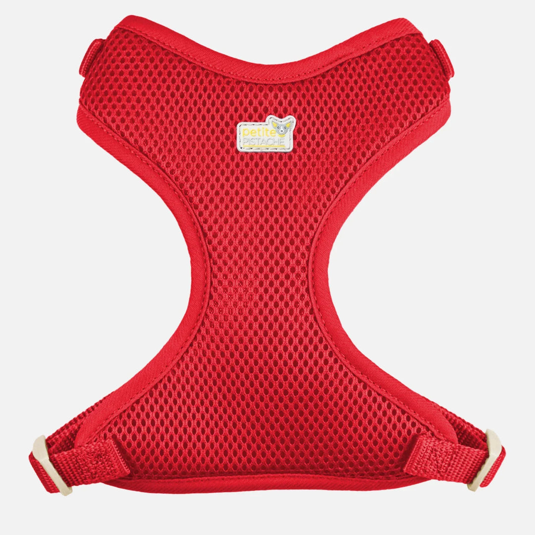 Petite Pistache harnais en mailles pour petits chiens