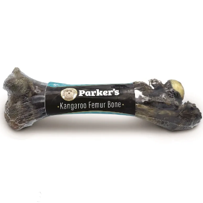 Parker's fémur de kangourou déshydraté