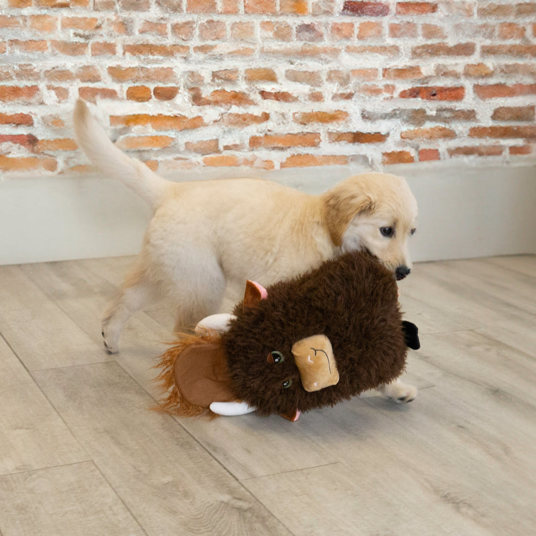 Kong peluche pour chiens Comfort Jumbo Vache Highland