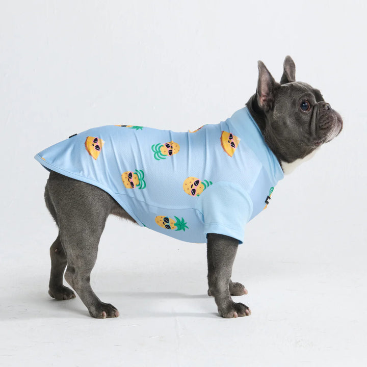 Spark Paws chandail pour chiens avec protection UV