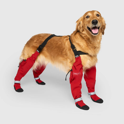 Canada Pooch bottes pour chiens Suspender Boots