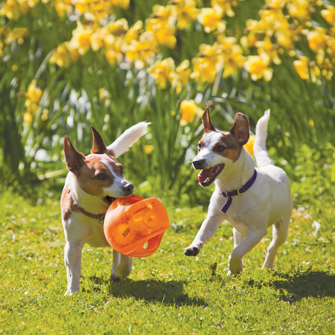 Kong jouet pour chiens Jumbler Ball