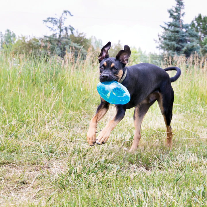 Kong jouet pour chiens Jumbler Football grand/très grand