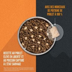 Orijen Wild Reserve nourriture sèche pour chats Poulet et poisson sauvage                       *** LIVRAISON LOCALE OU RETRAIT MAGASIN SEULEMENT ***