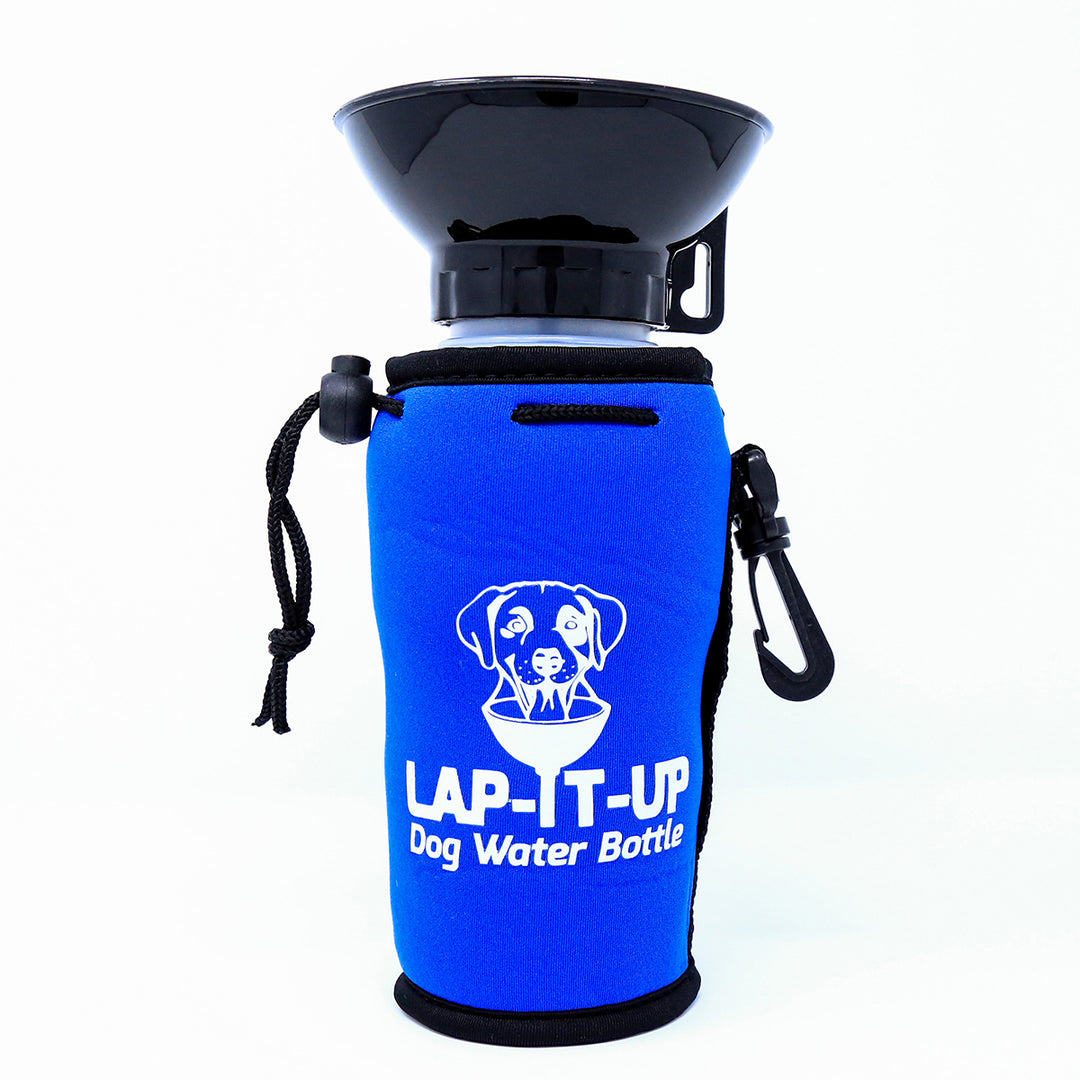 Lap-It-Up bouteille d'eau