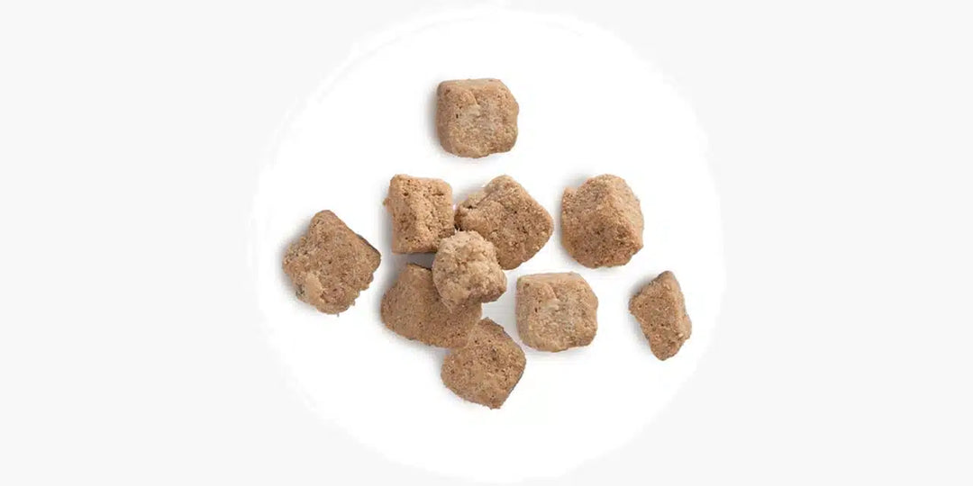 Catit recette lyophilisée Poulet
