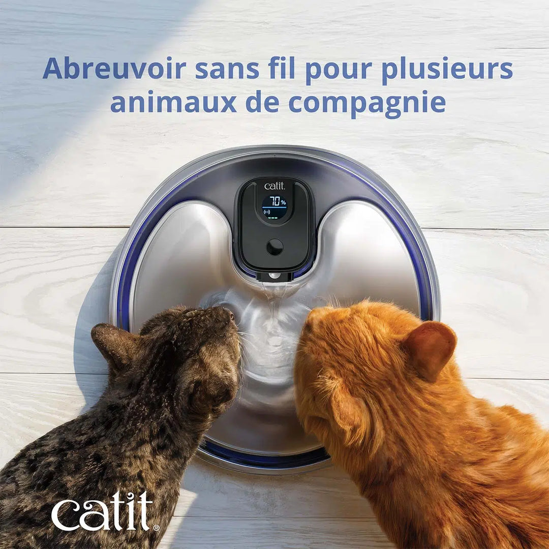 Catit fontaine en acier inoxydable avec clarificateur UVC pour chats Pixi 5L