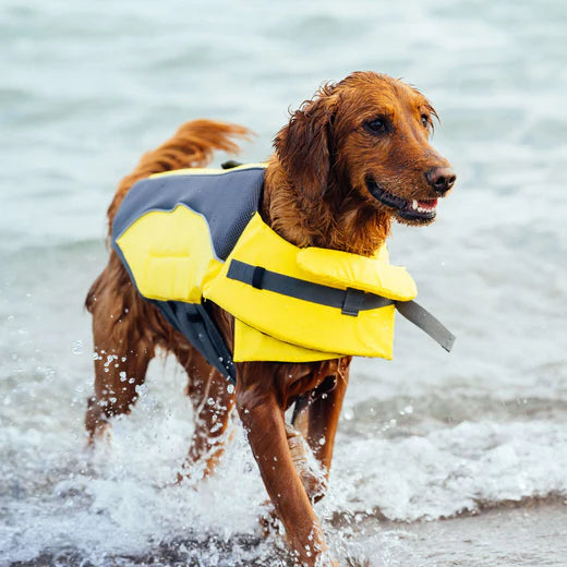 Canada Pooch veste de flottaison Wave Rider