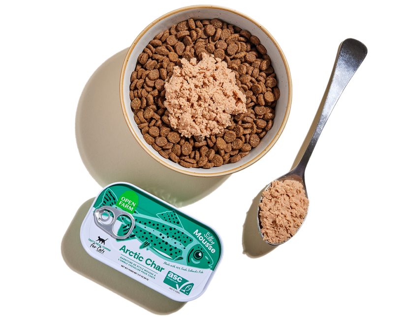 Open Farm garniture mousse pour chats Omble Chevalier 89g