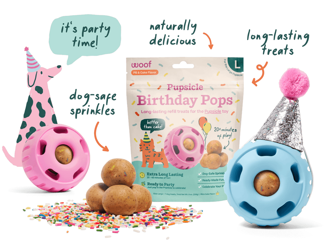 Woof moule à gâteries glacées Pupsicle