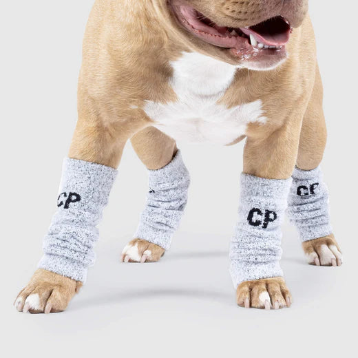 Canada Pooch jambières pour chien Work It Warmers