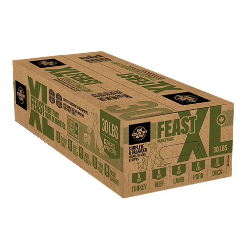 BCR Big Country Raw nourriture crue pour chiens XL Feast 30 lb