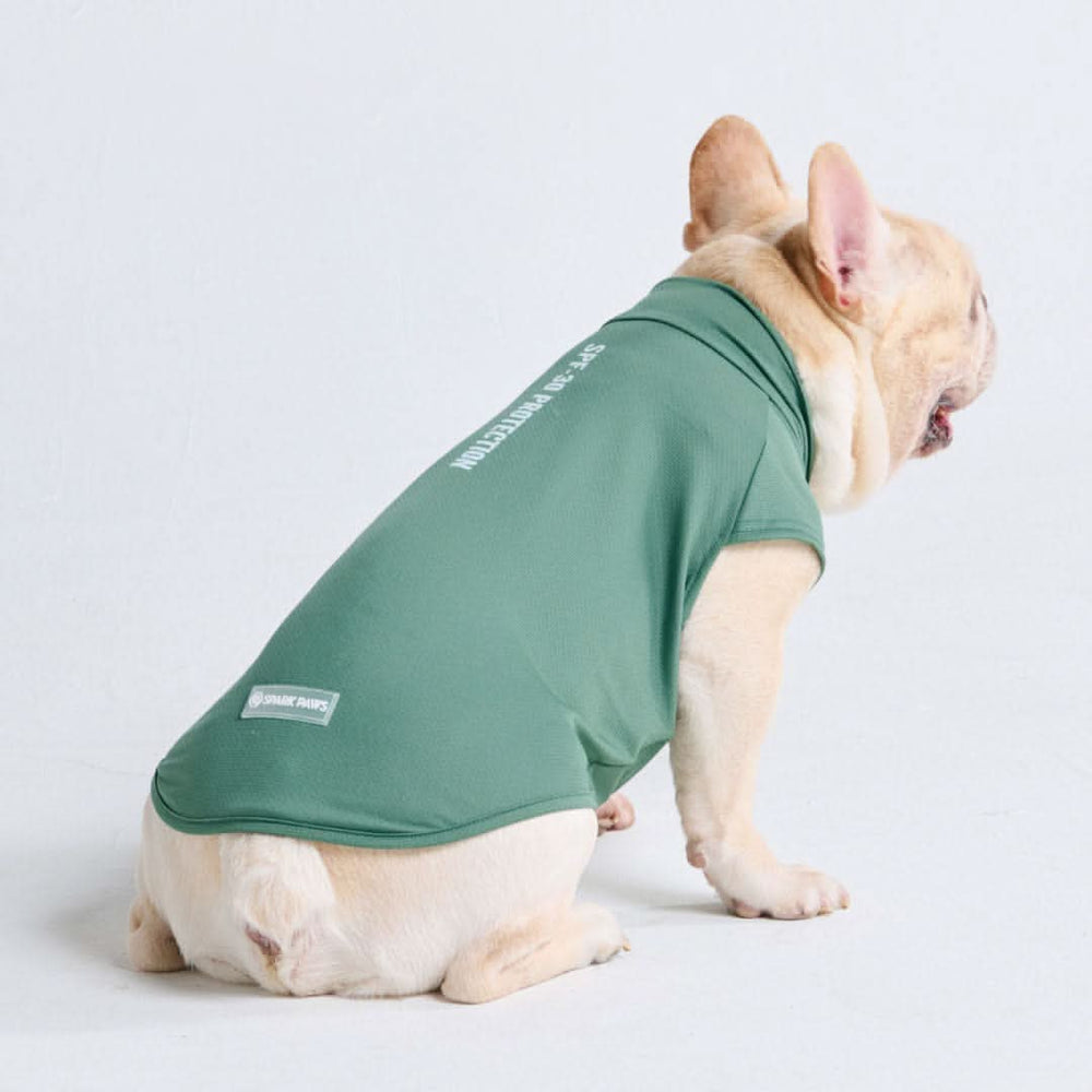 Spark Paws chandail pour chiens avec protection FPS 30