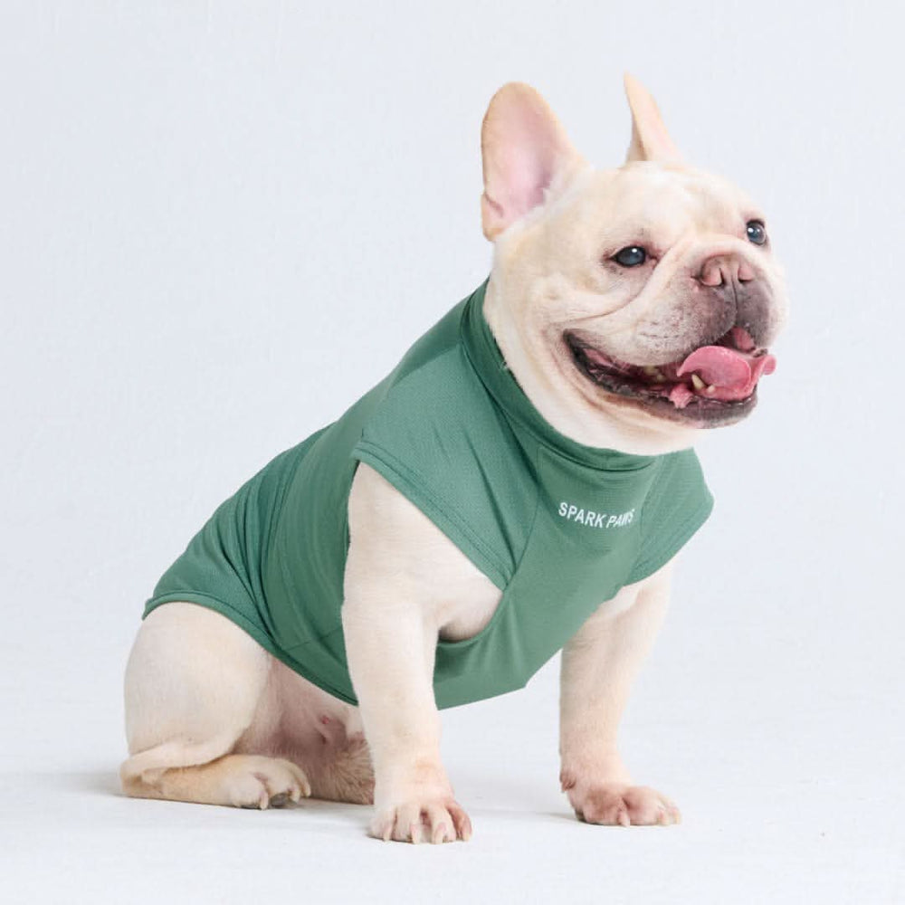 Spark Paws chandail pour chiens avec protection FPS 30