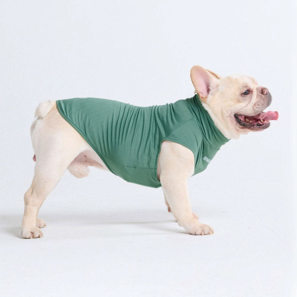 Spark Paws chandail pour chiens avec protection FPS 30