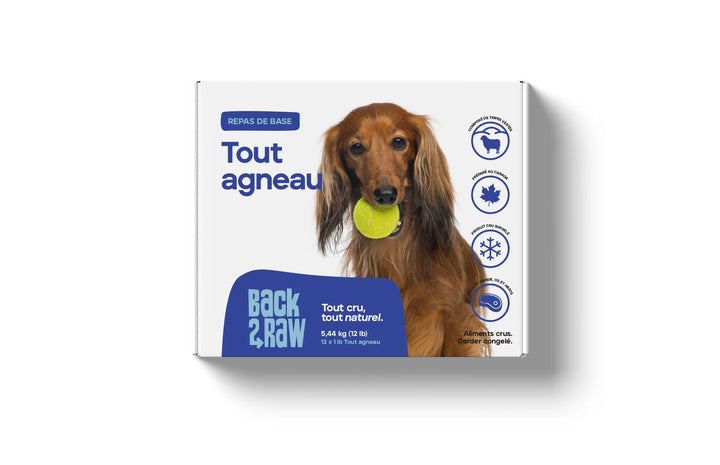 Back2Raw nourriture crue pour chiens Pur Agneau 12 lb