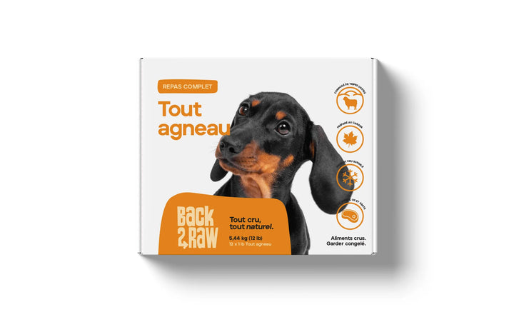 Back2Raw nourriture crue pour chiens Tout Agneau
