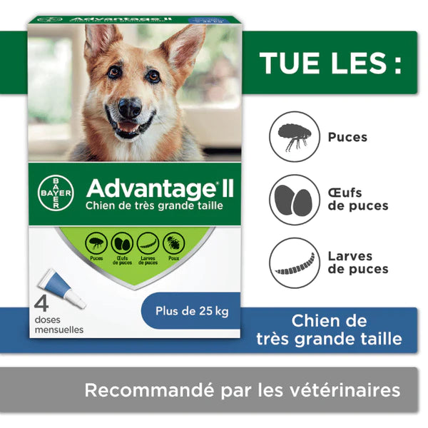 Elanco traitement contre les puces pour chiens Advantage 2