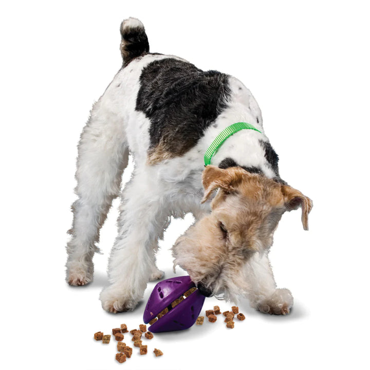 Petsafe jouet interactif Twist N Treat