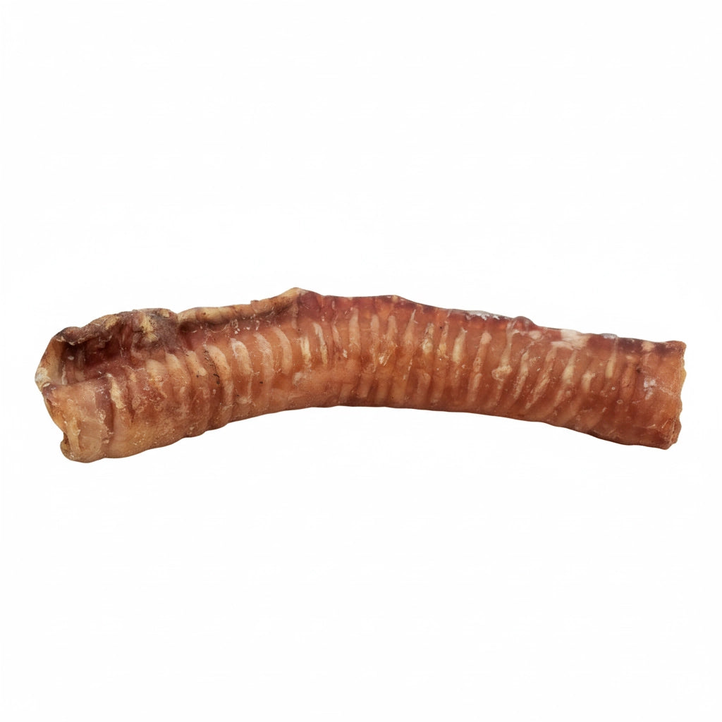 Trachée de boeuf