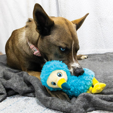 Kong peluche pour chiens ToughZ Dodo