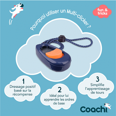 Company of Animals clicker pour l'entraînement Multi-Clicker Coachi