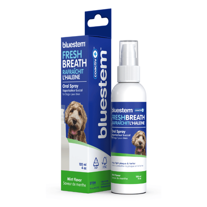 Bluestem vaporisateur buccal pour chiens Menthe 120ml