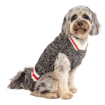 Chilly Dog Sweaters gilets pour chien