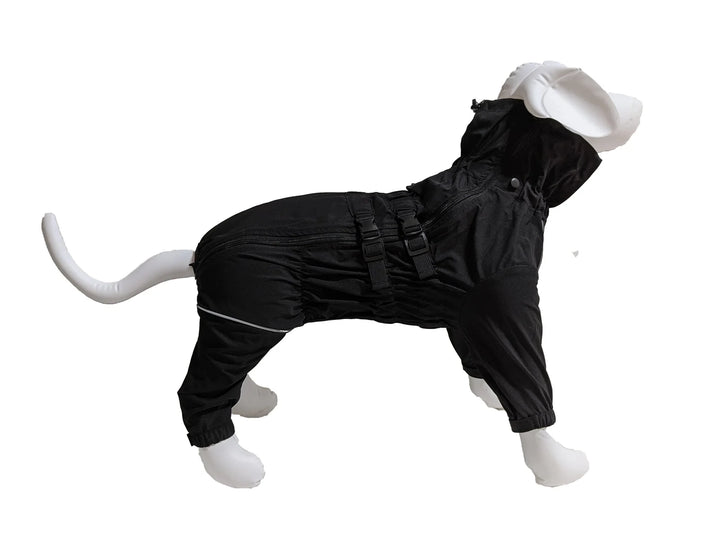 Le chien blanc manteau 4 pattes Brave