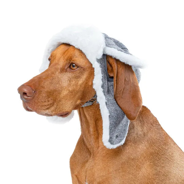 Canada Pooch chapeau pour chiens Arctic Hat