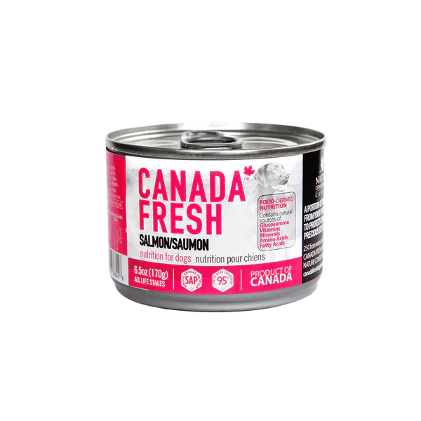PetKind Canada Fresh conserve pour chien Saumon 170g