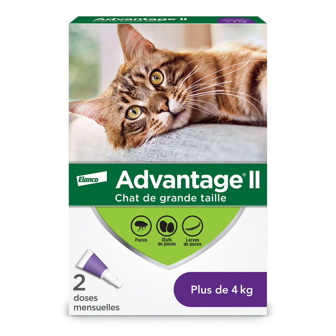 Elanco traitement contre les puces pour chats Advantage 2