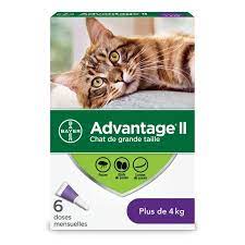 Elanco traitement contre les puces pour chats Advantage 2