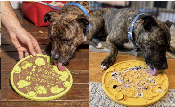 Chewise tapis de léchage réversible Pick & Lick