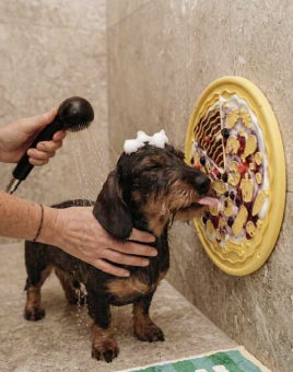 Chewise tapis de léchage réversible Pick & Lick