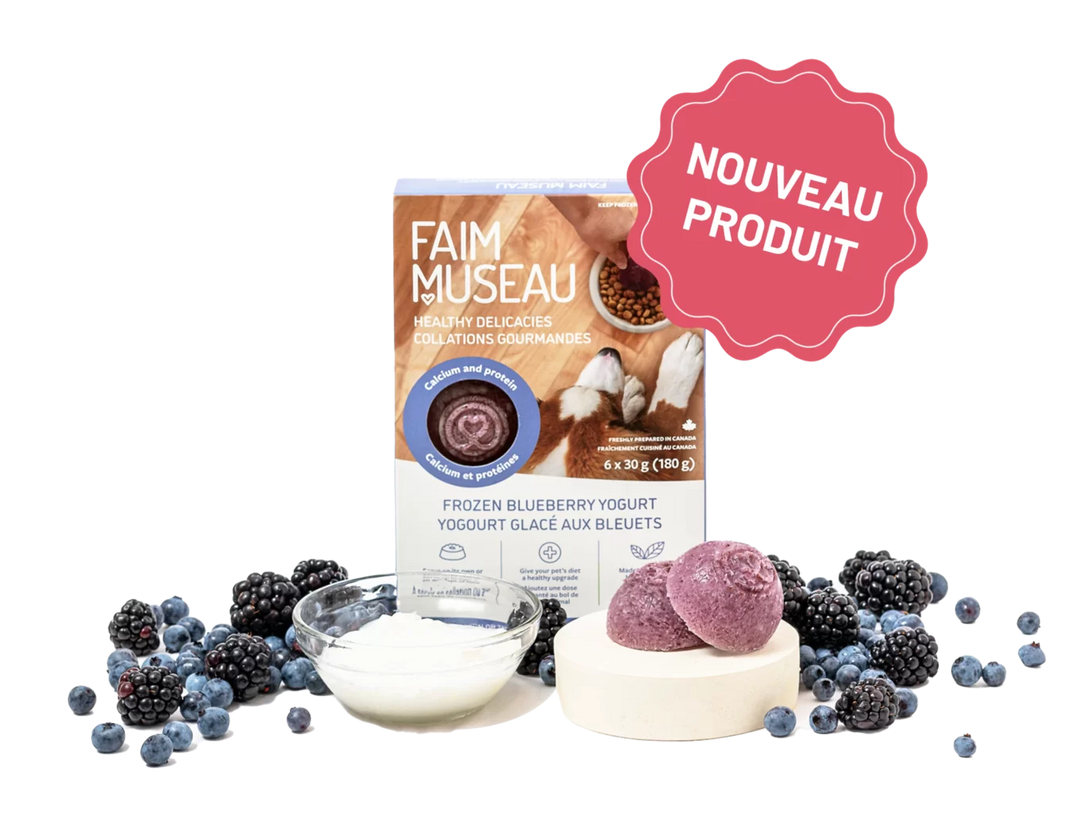 Faim Museau supplément de repas Yogourt glacé aux bleuets 180g