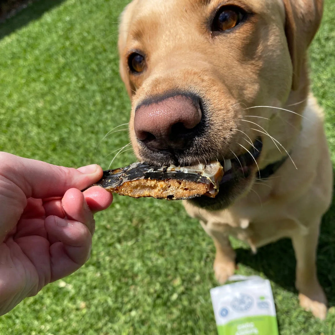 Lulu's Kitchen gâterie de crocodile pour chiens Make It Snappy 100g