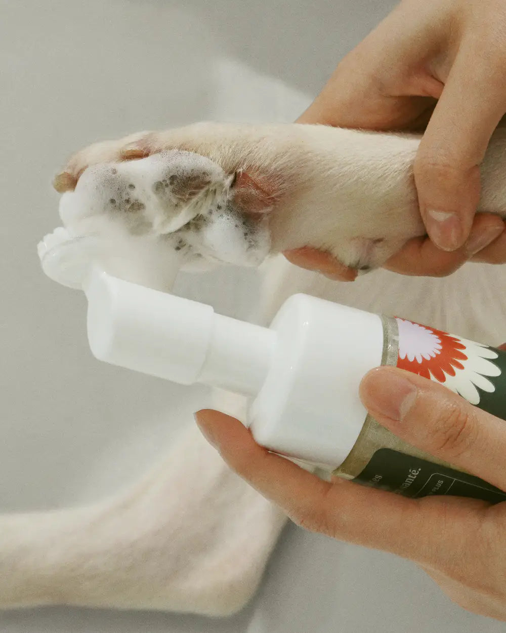 Dandylion nettoyant sans rinçage pour pattes Clean Paws 150 ml