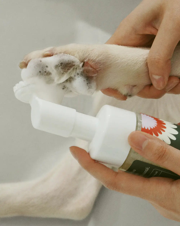 Dandylion nettoyant sans rinçage pour pattes Clean Paws 150 ml