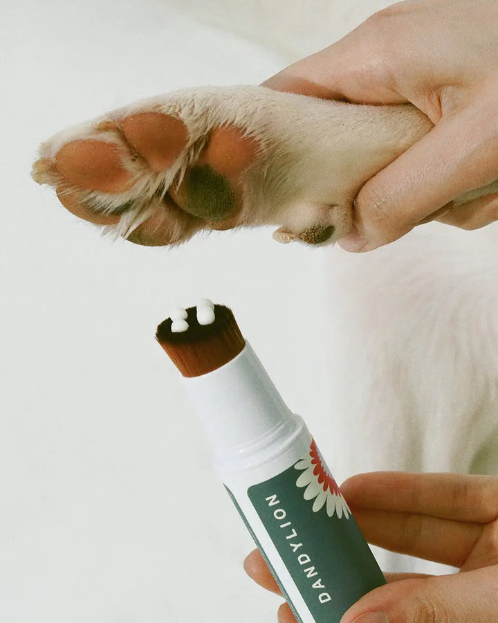 Dandylion lotion pour les pattes Soft Paws 20 ml